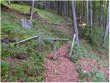 Kraljev hrib - Planina Rzenik